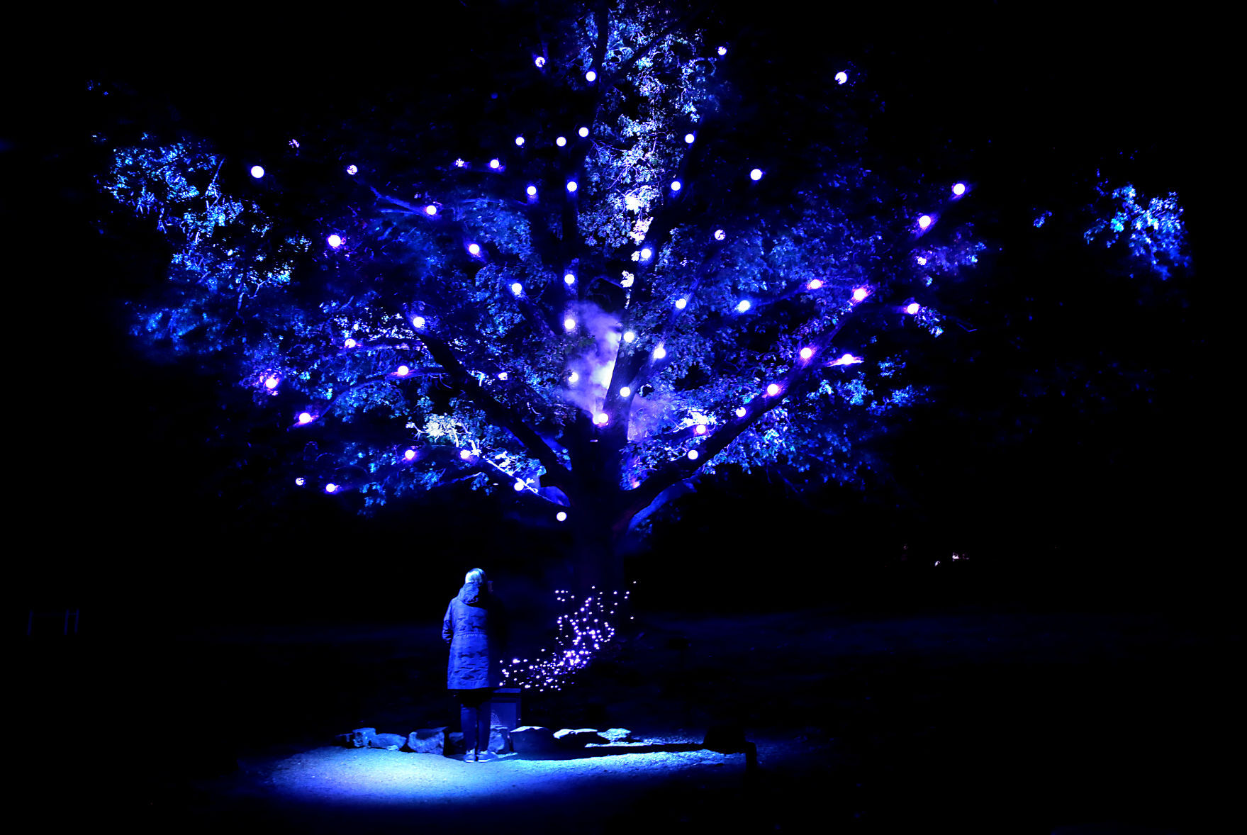 A talk with The Whispering Tree